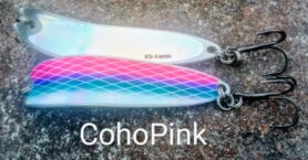 CohoPink - hologrammi