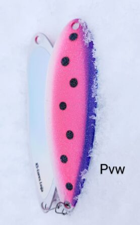Leija Pvw