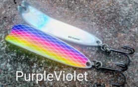 Purple Violet - hologrammi